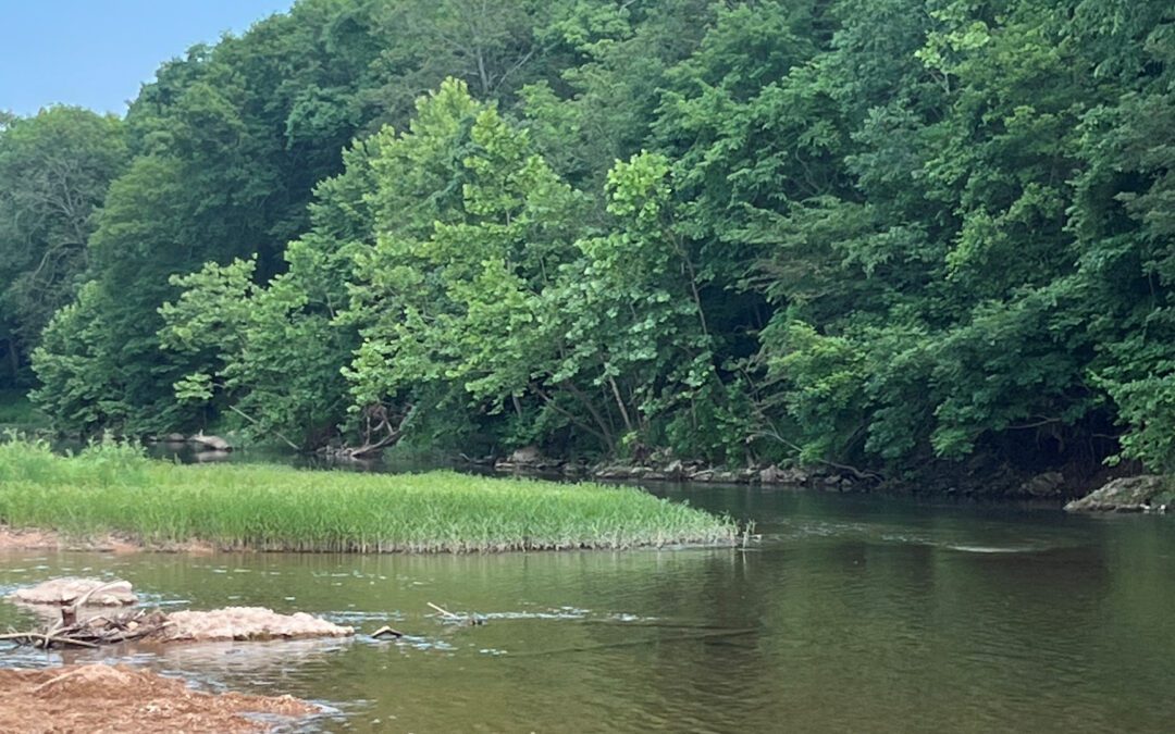 South Fork River Kottage