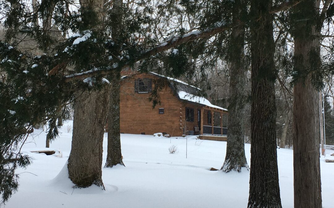 Star Falls Cabin #2